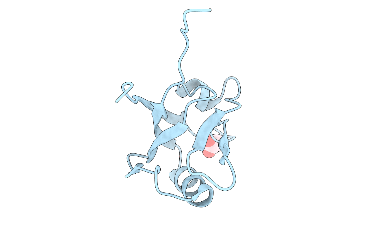 4LMM image