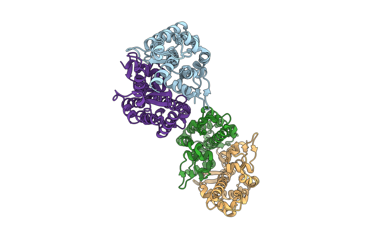 4LMO image