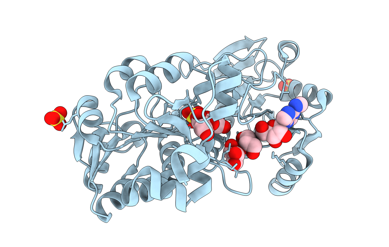 4LMP image