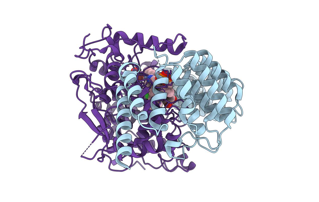 4LNG image