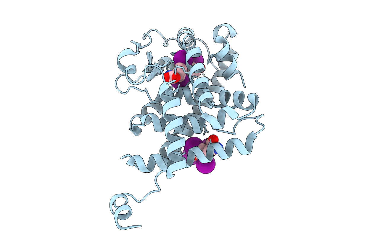 4LNX image