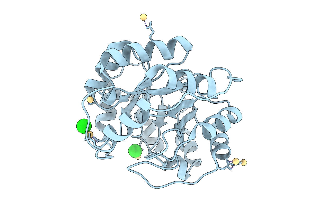 4LNY image