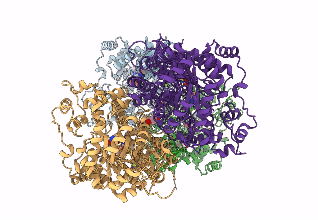 4LOC image