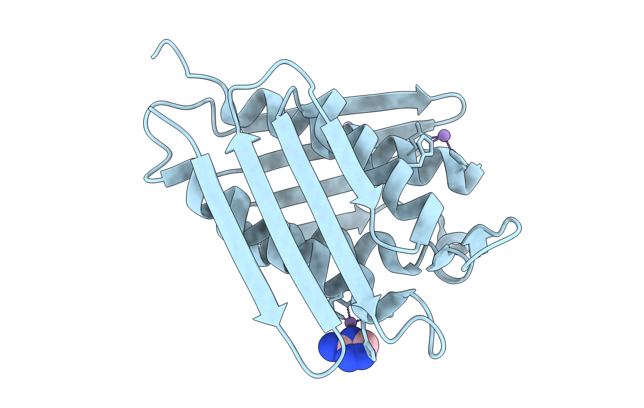 4LPF image