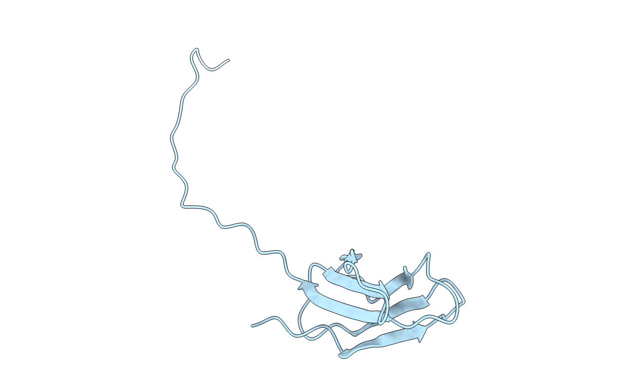 4LPX image