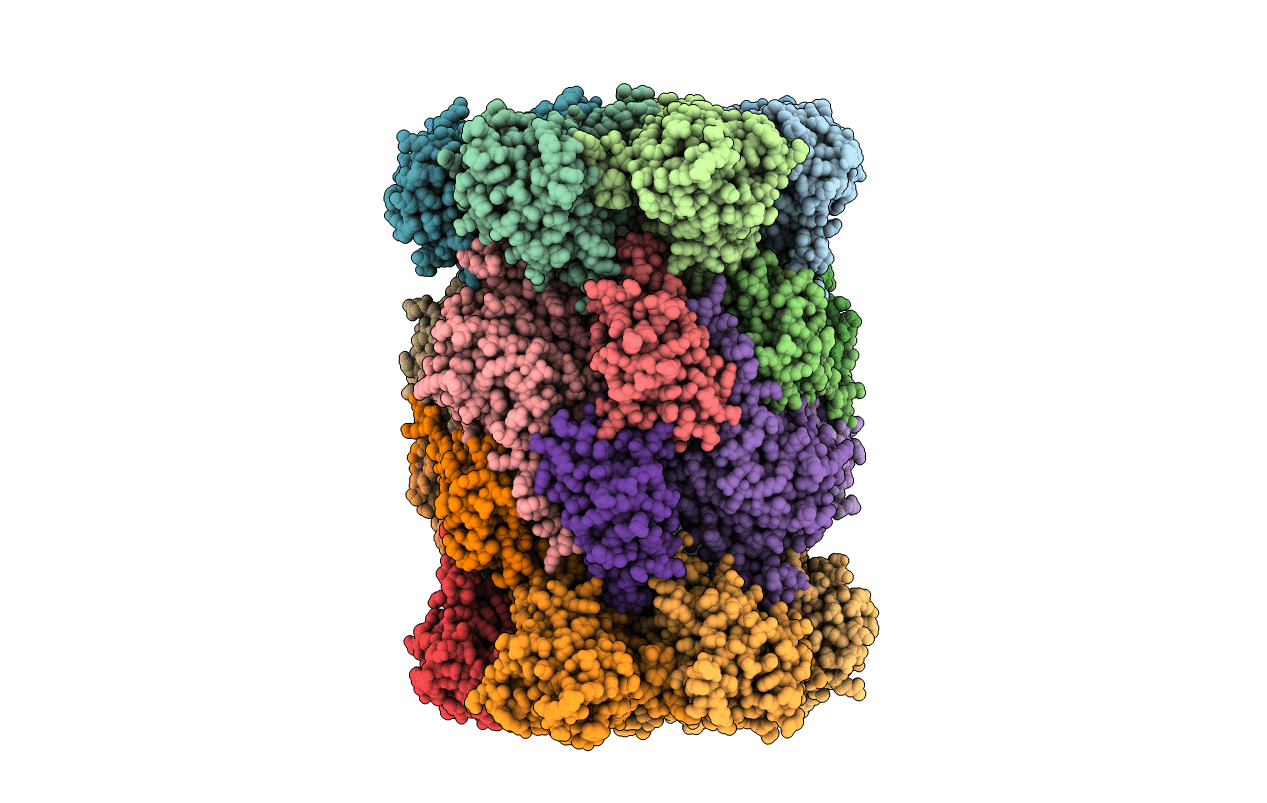 4LQI image