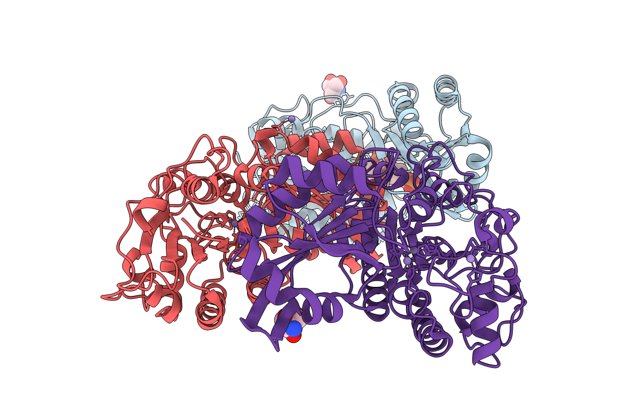 4LR8 image