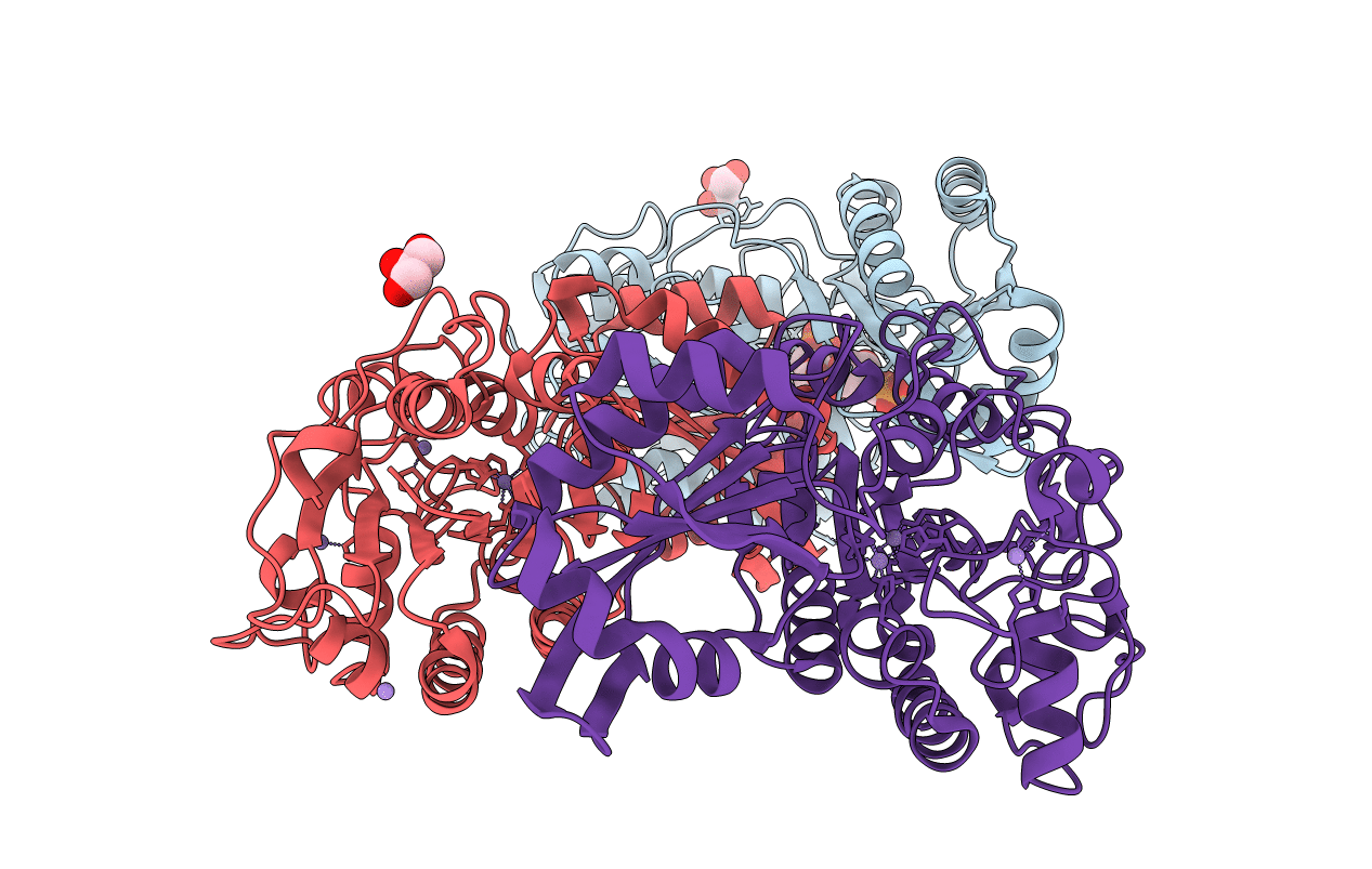 4LRF image