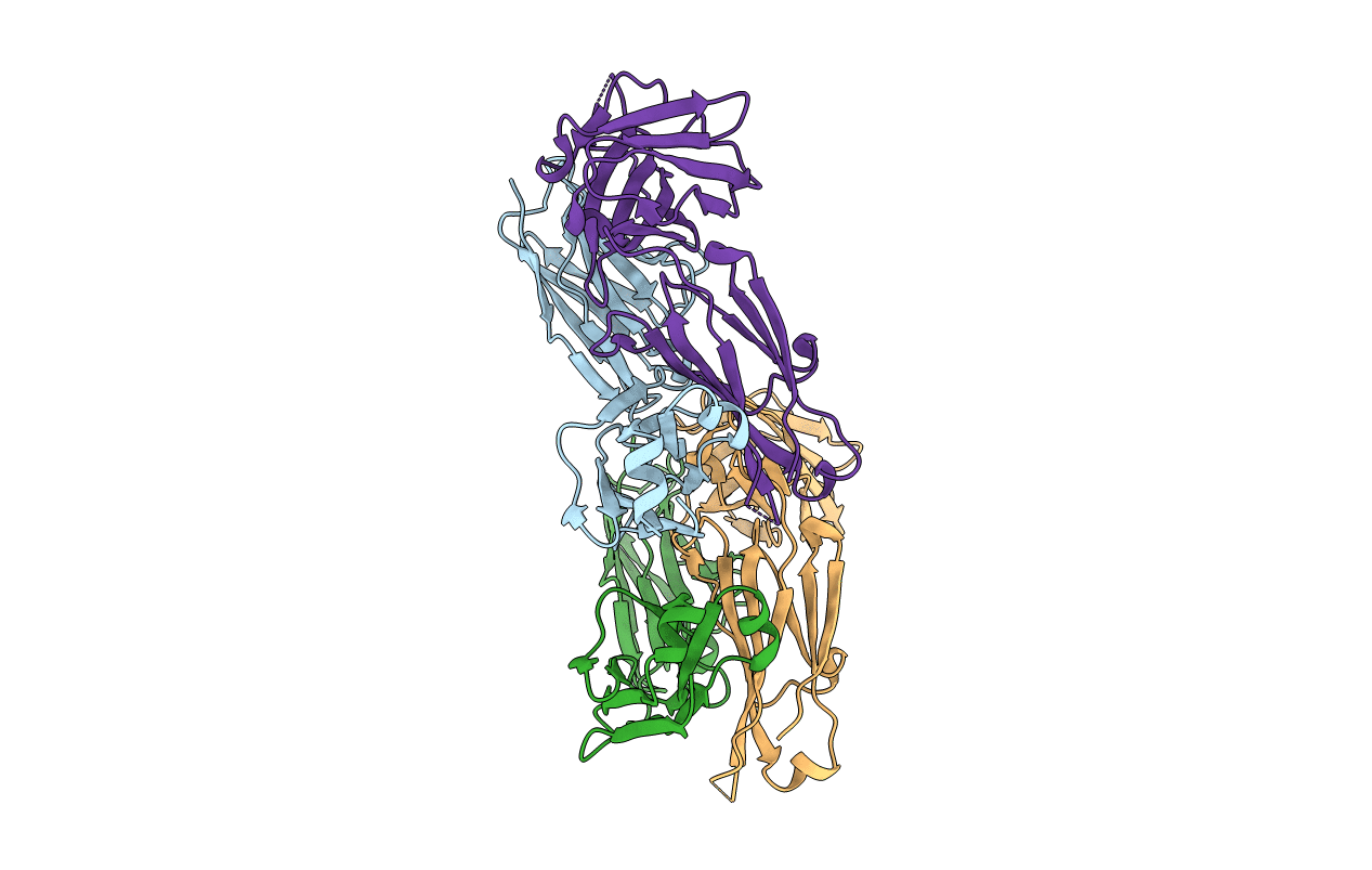 4LRI image