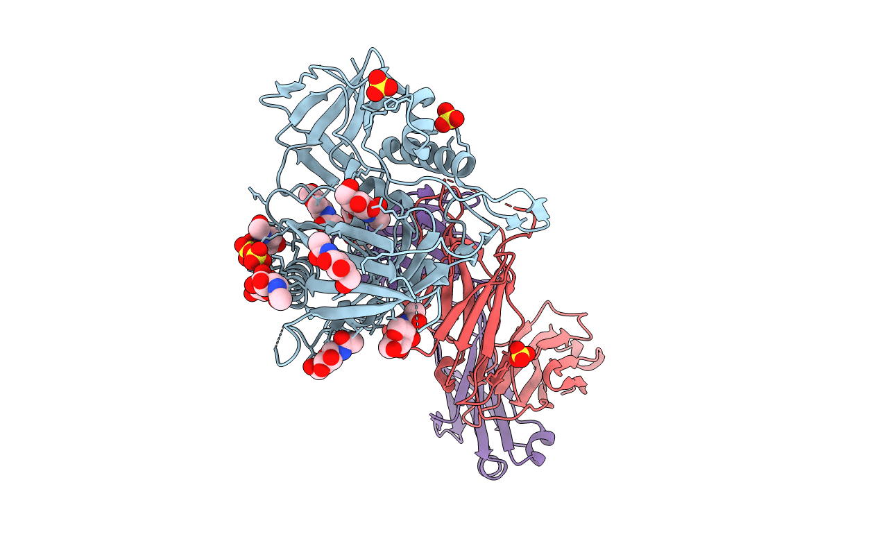 4LSR image