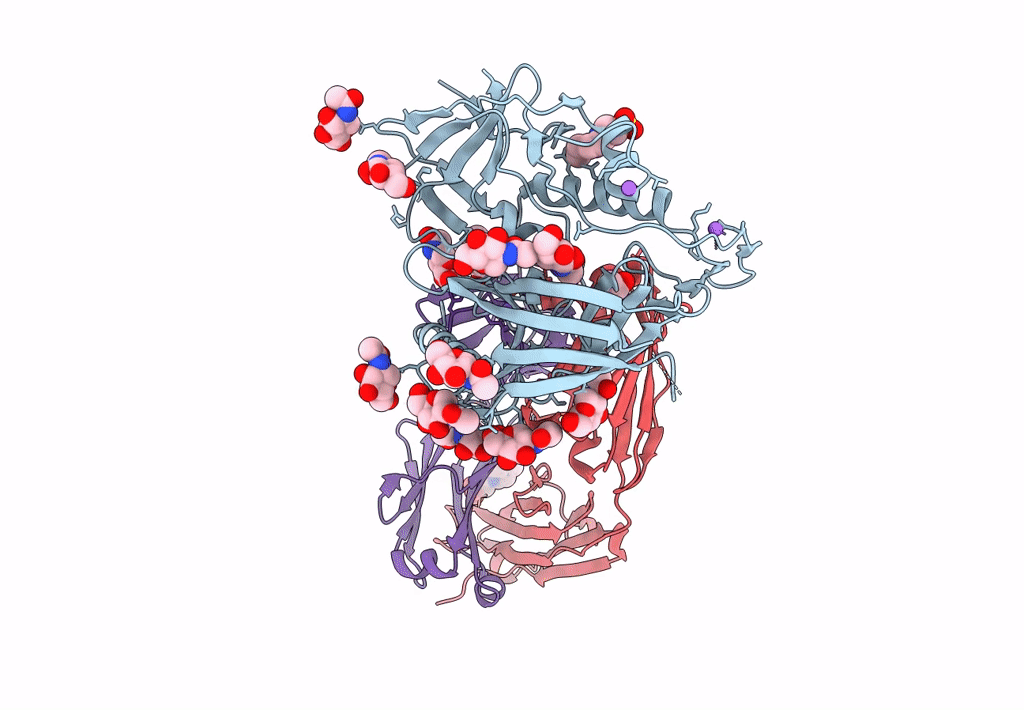 4LSS image
