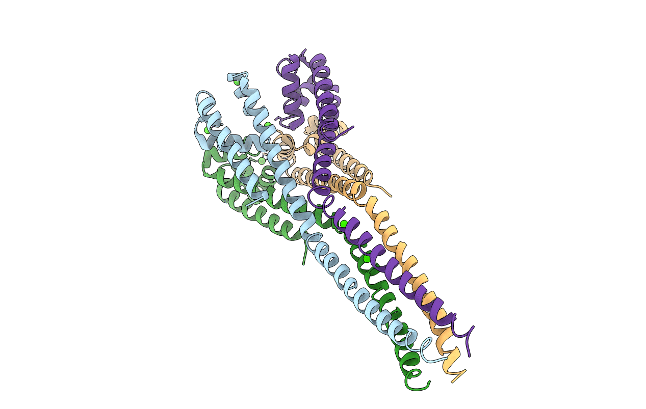 4LTP image