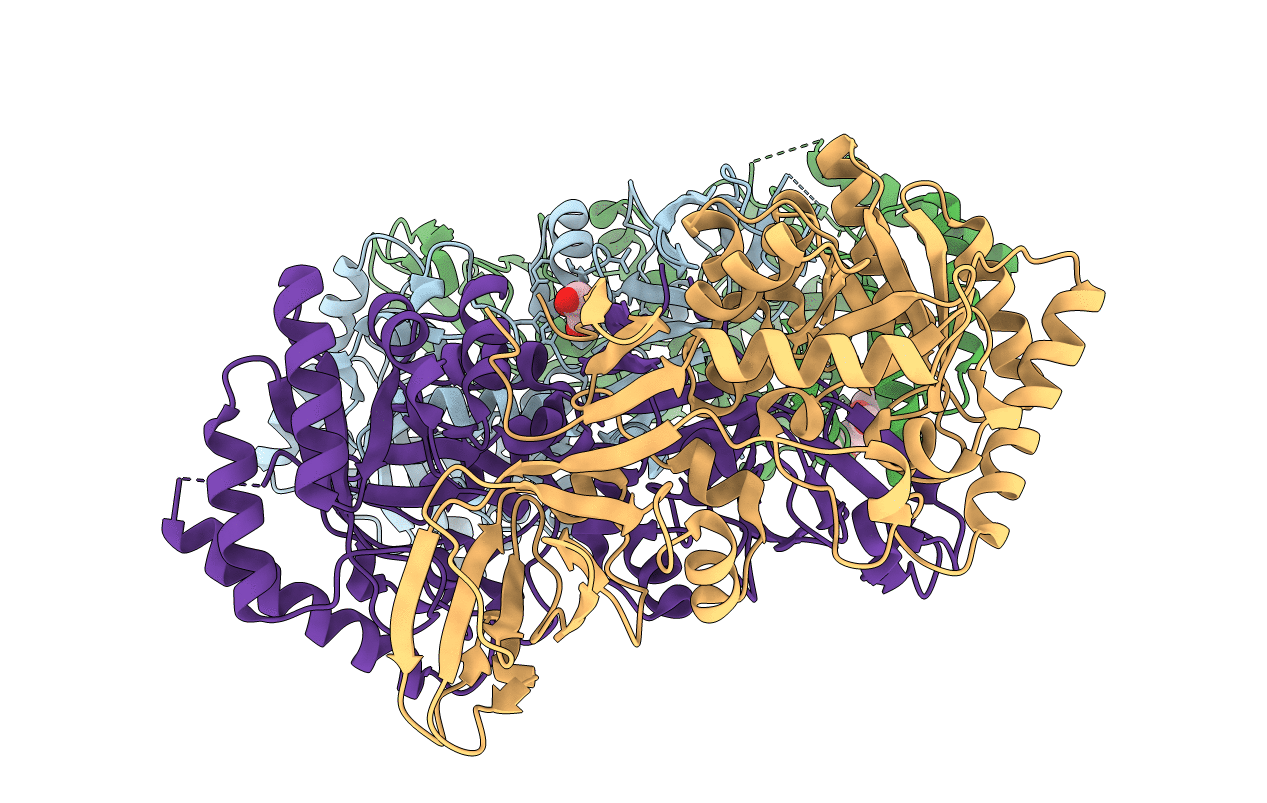 4LUS image
