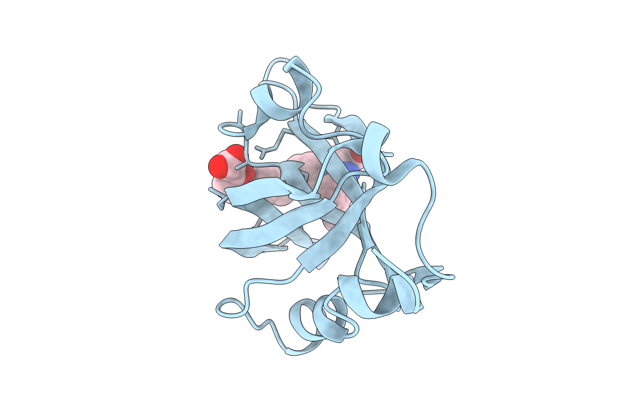 4LUZ image