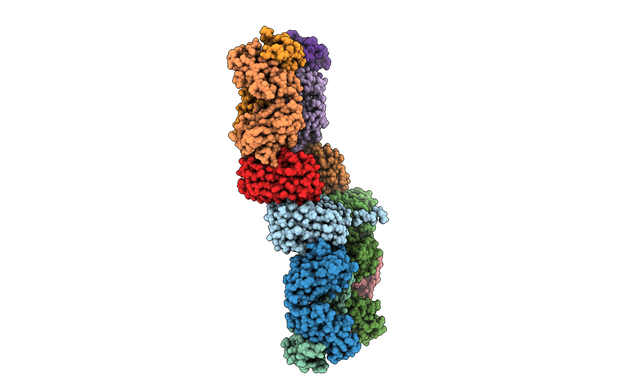 4LVH image