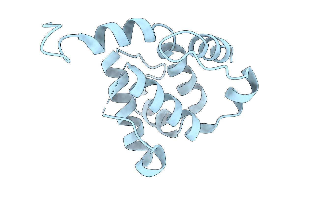 4LVR image