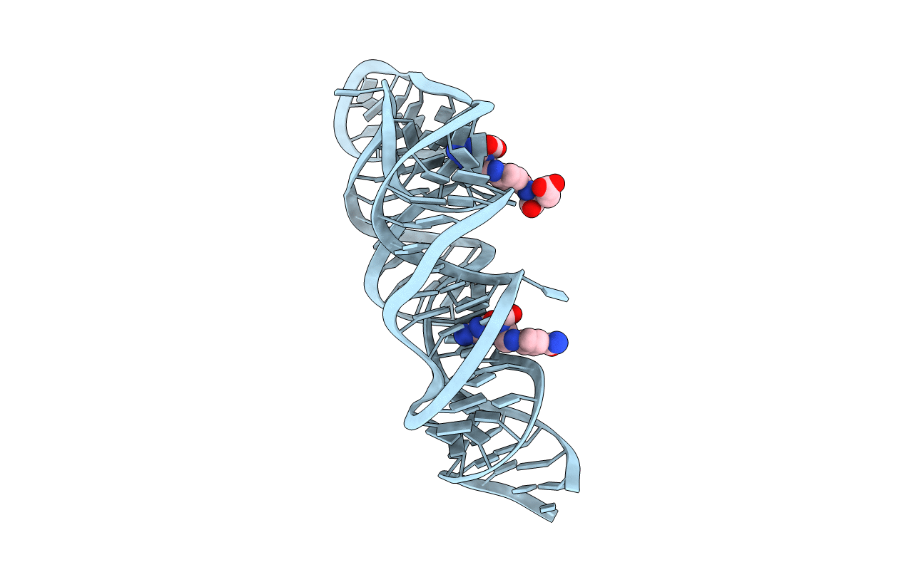 4LVV image