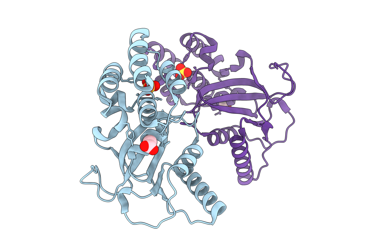 4LWK image