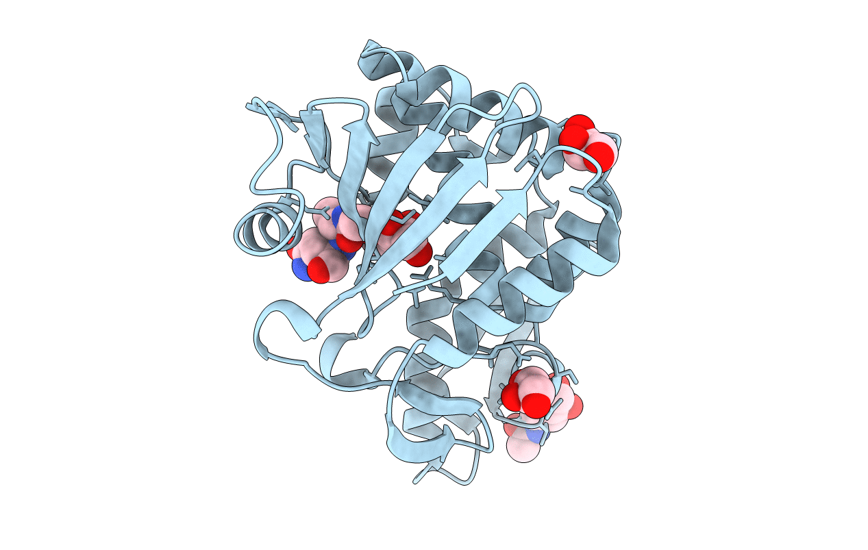 4LWX image