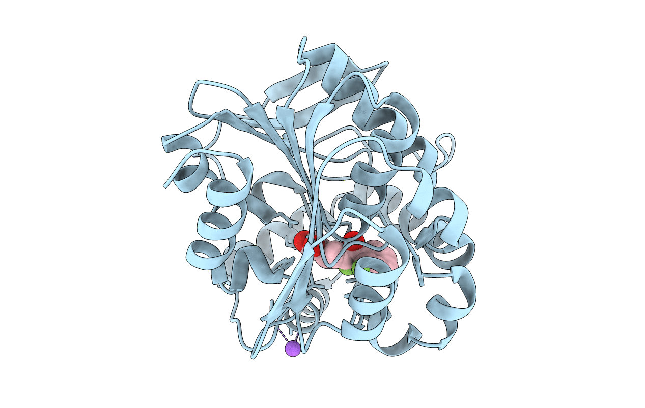 4LXI image