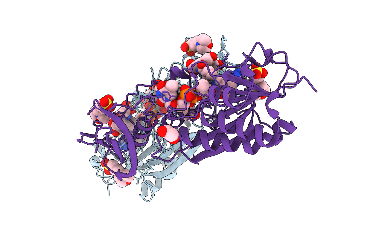 4LXT image