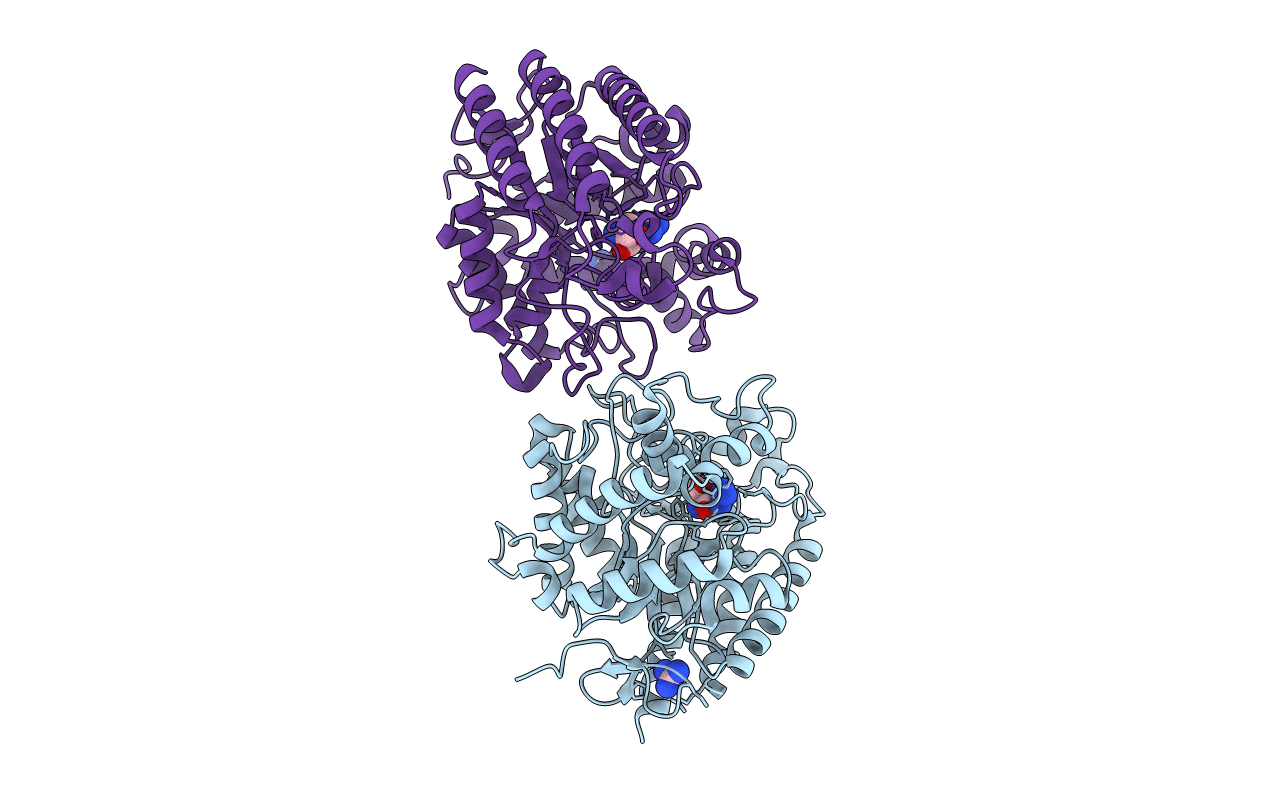 4LYP image