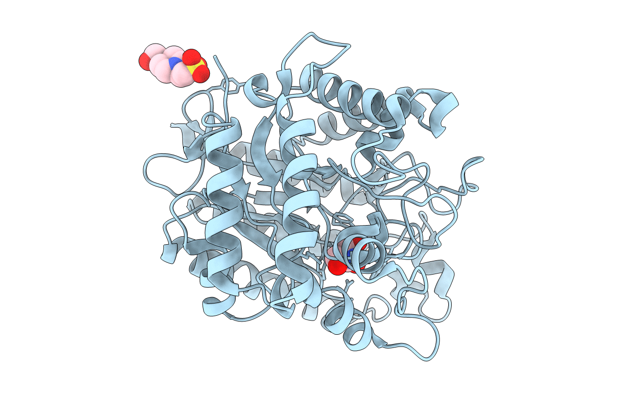 4LYR image