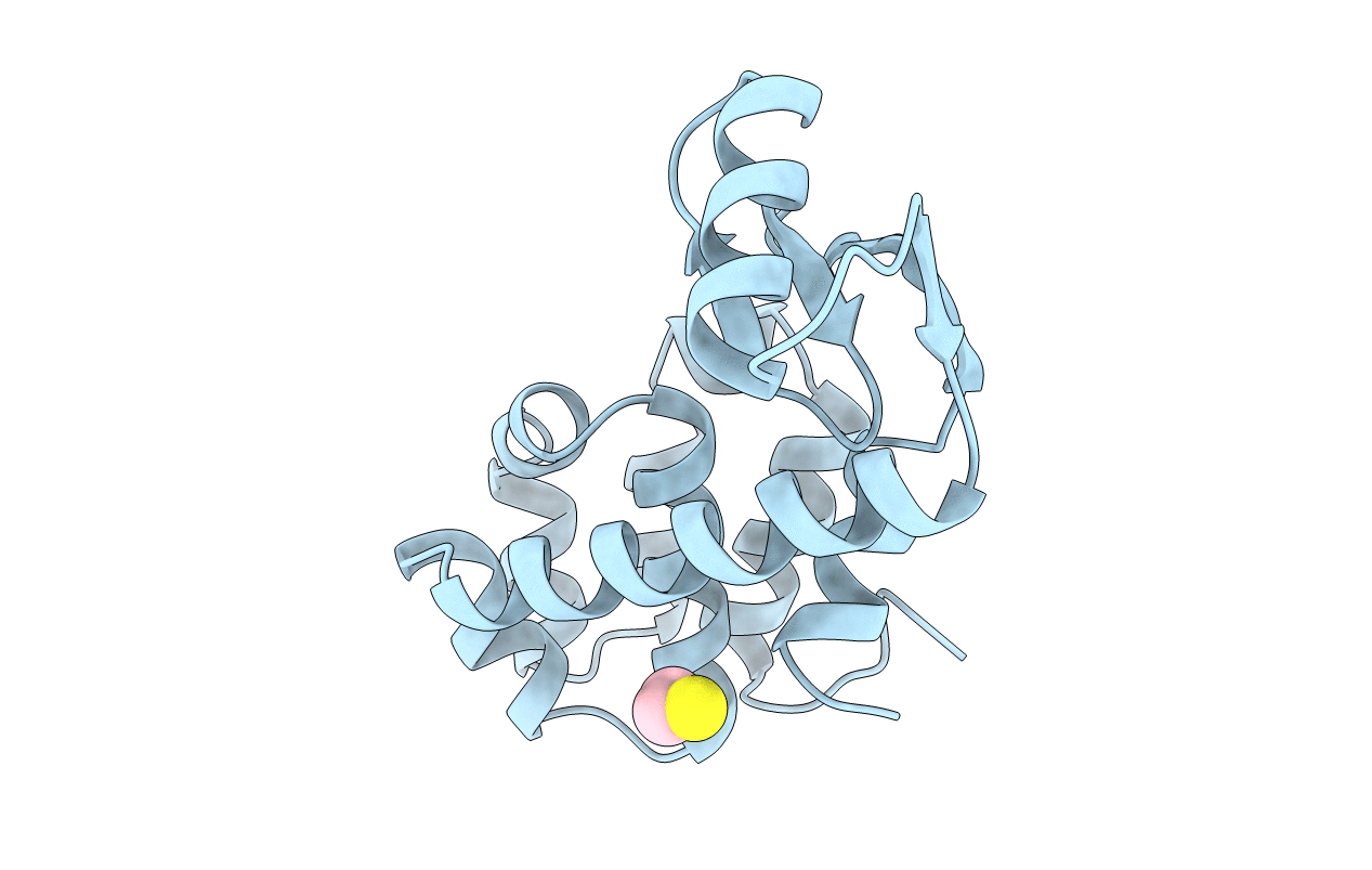 4LZM image
