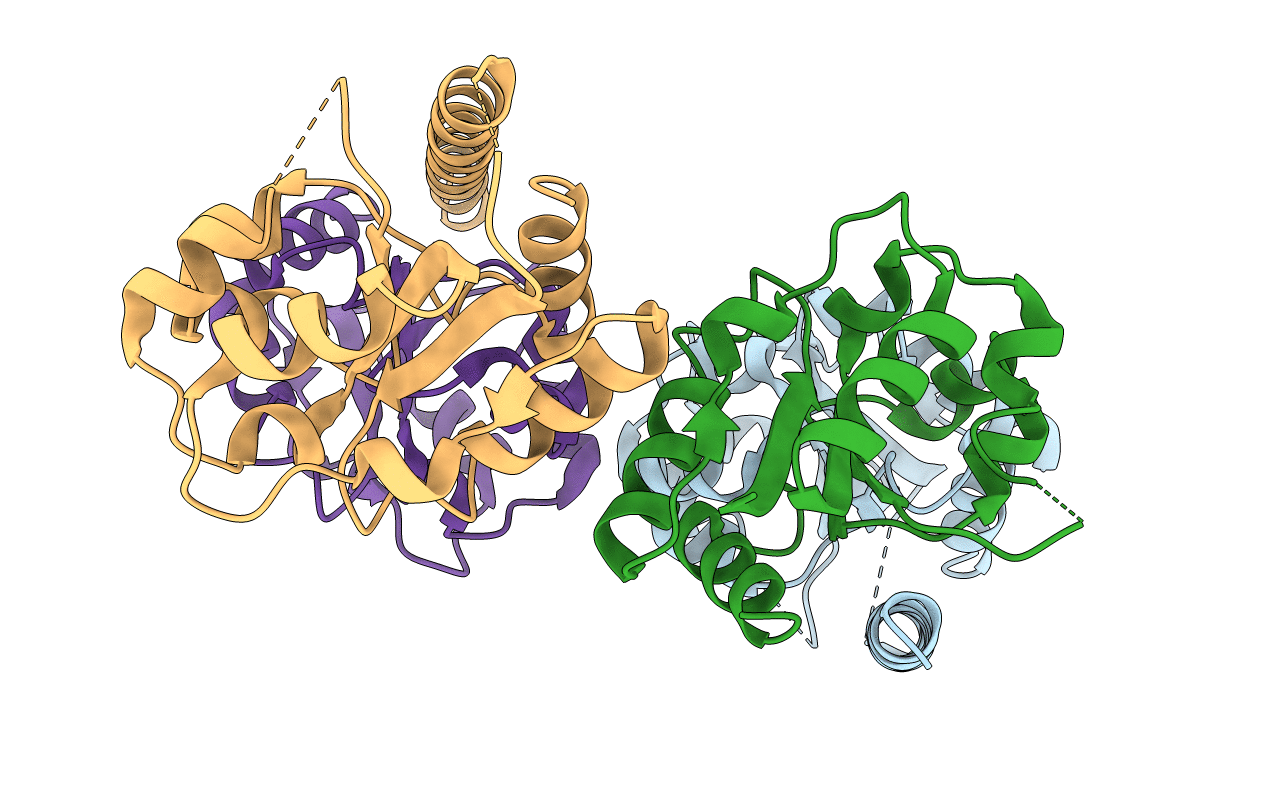 4LZP image