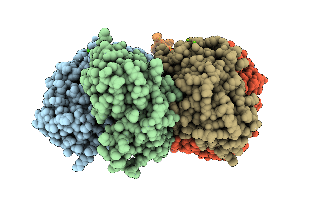 4LZW image