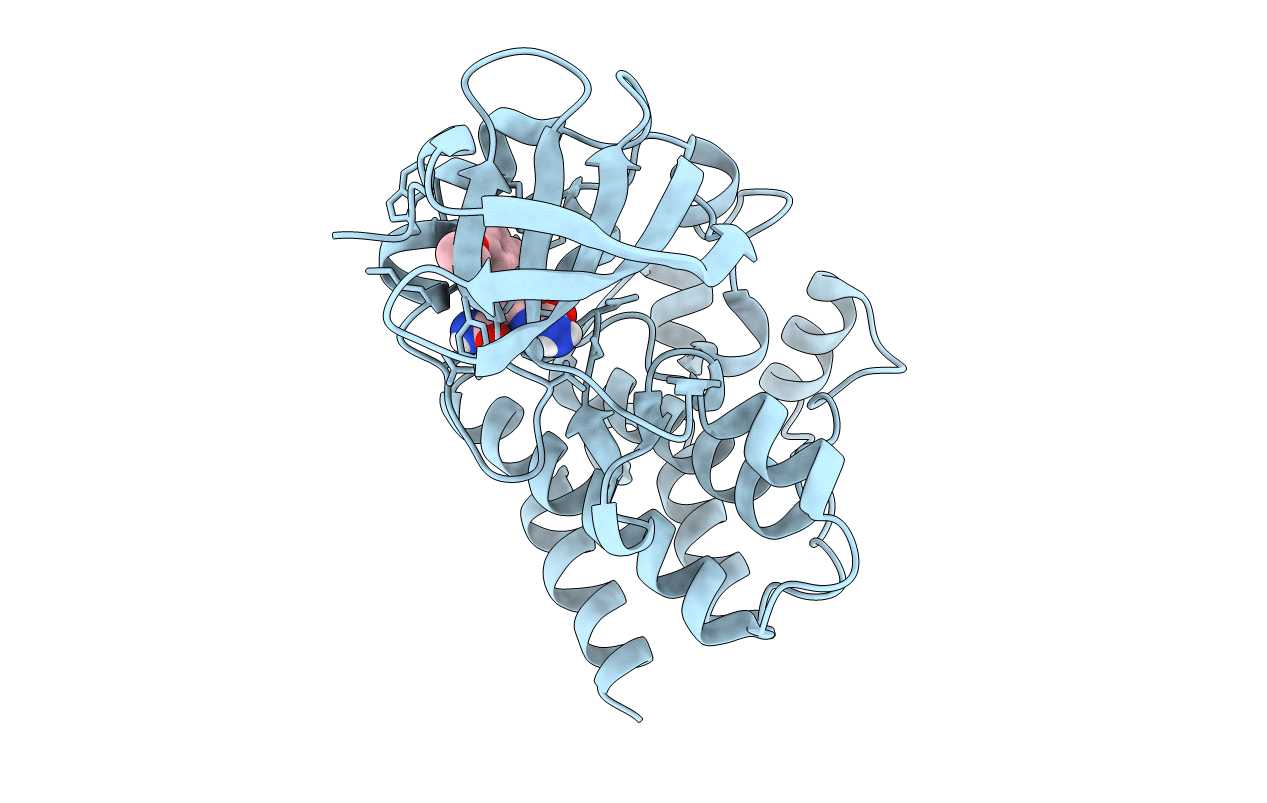 4M12 image
