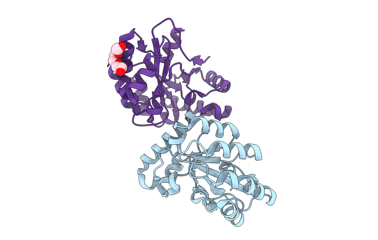 4M1B image