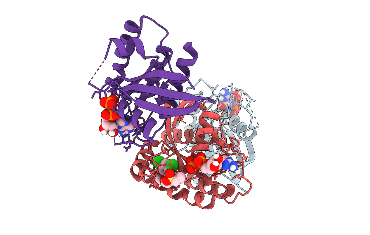 4M1O image