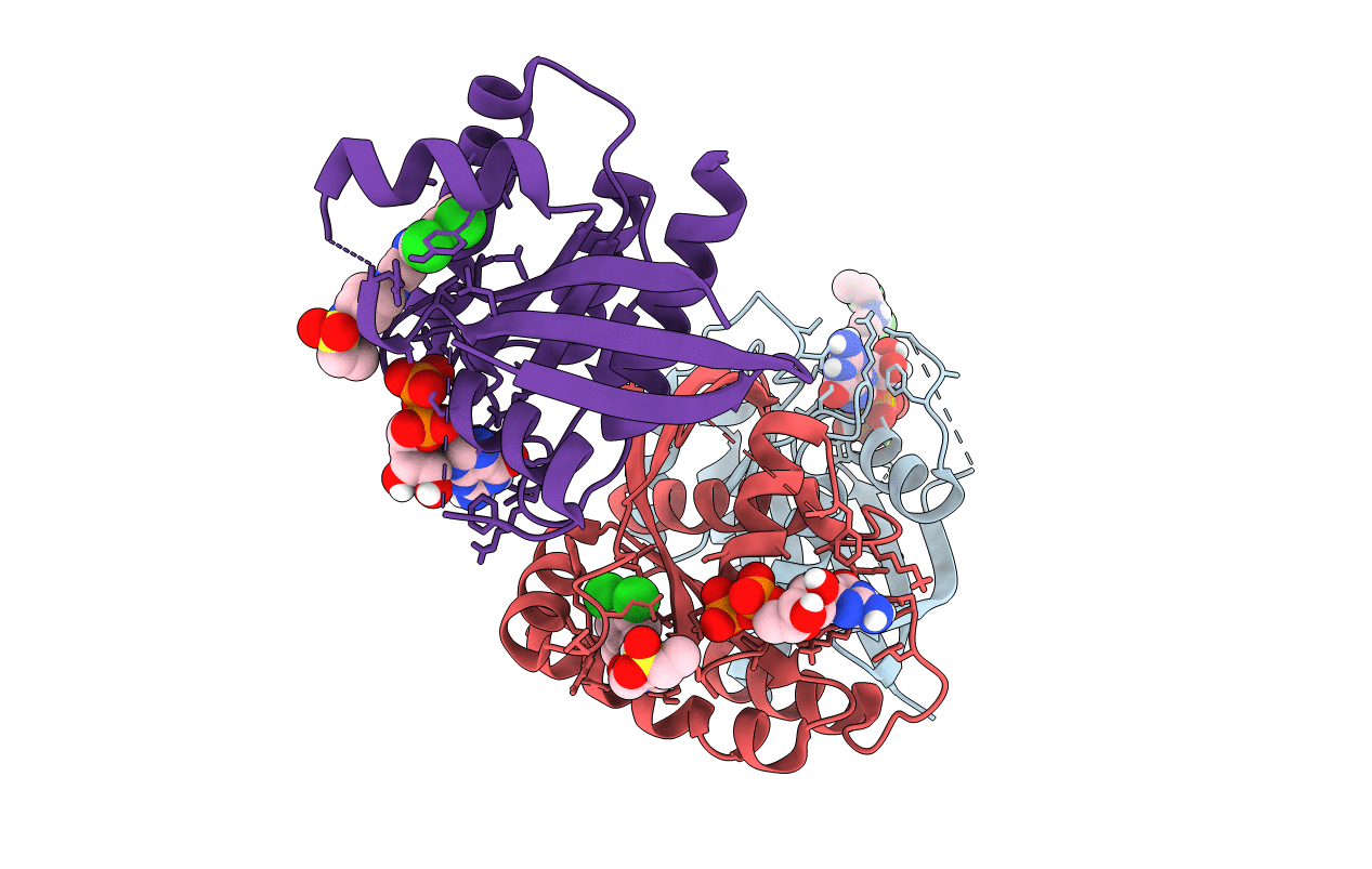 4M1W image