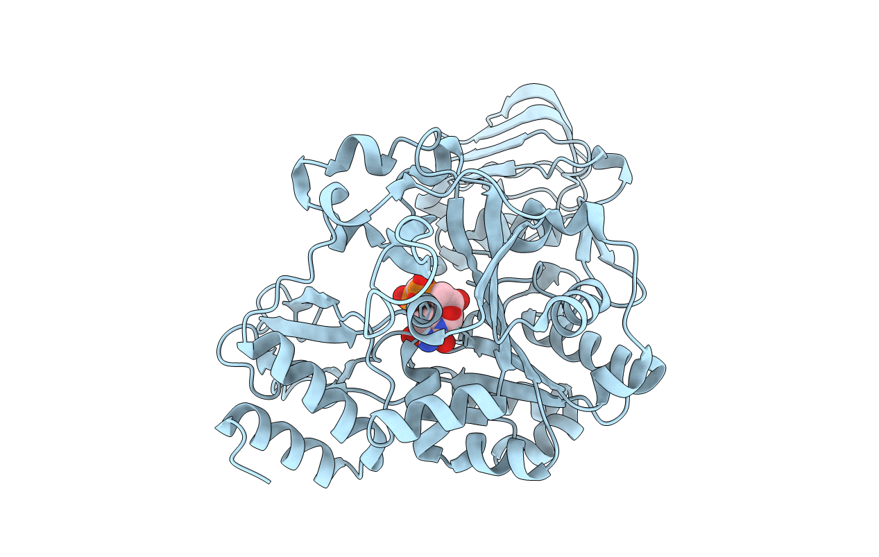 4M28 image
