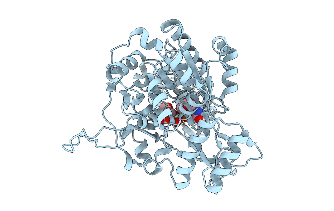 4M2B image