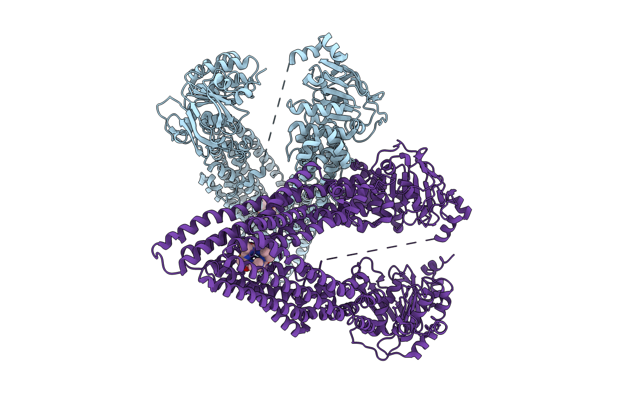 4M2S image