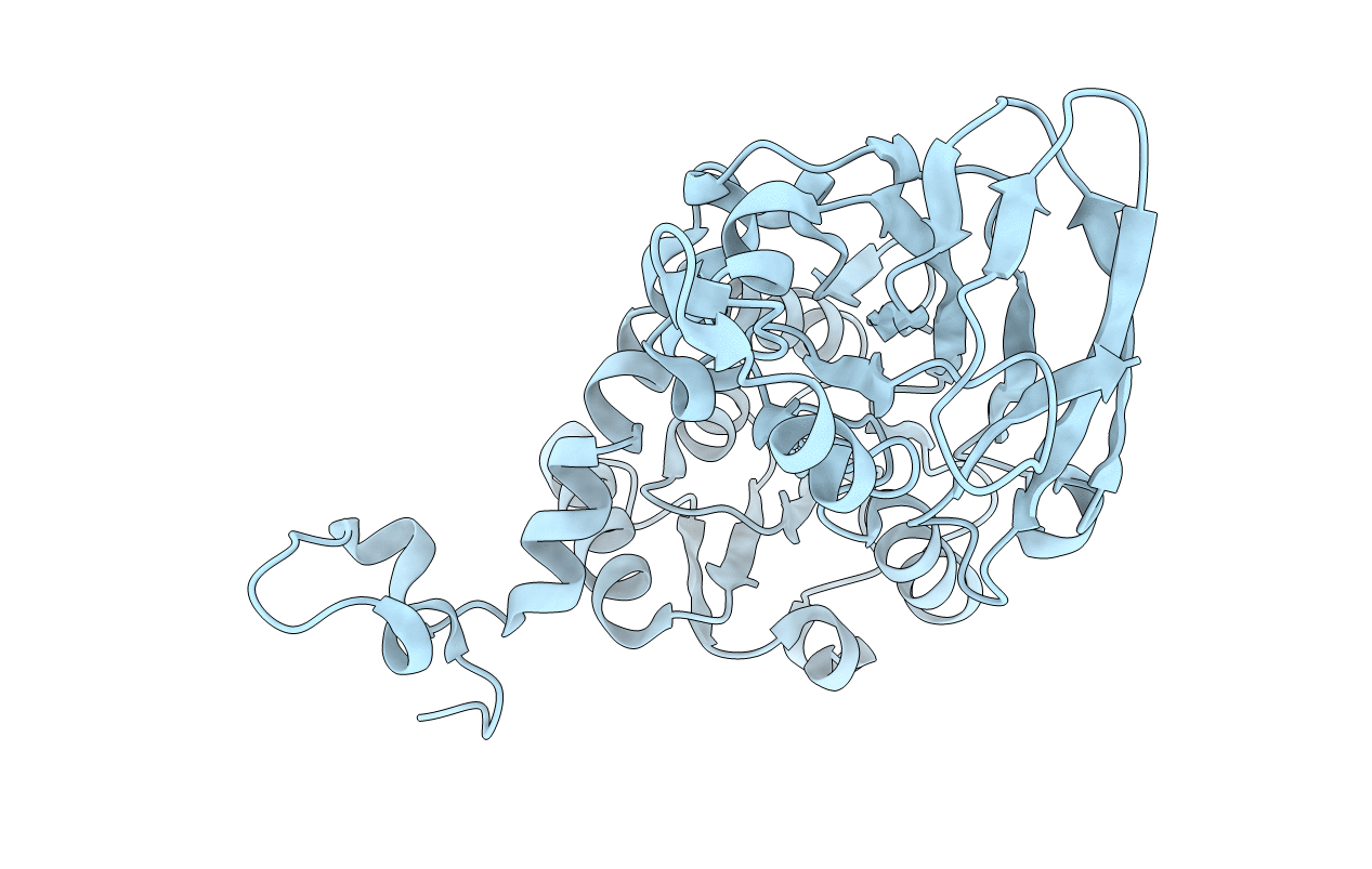4M36 image