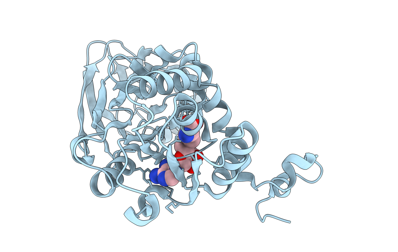 4M37 image