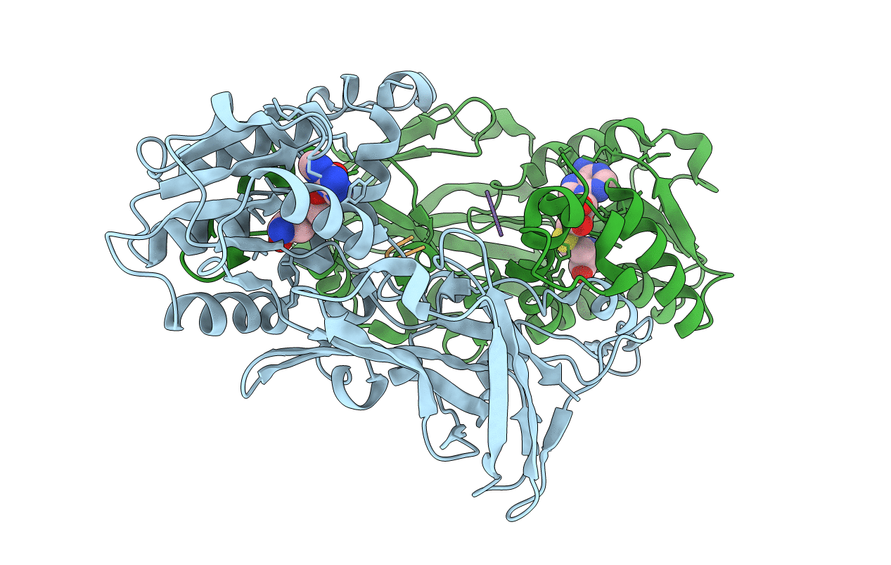 4M38 image