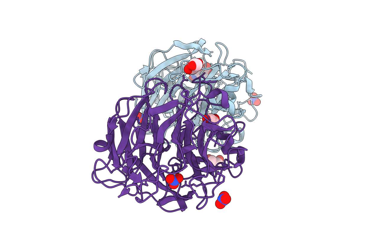 4M4V image