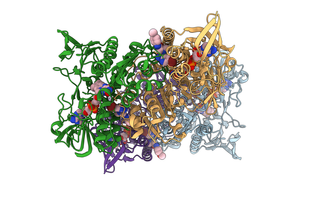 4M52 image