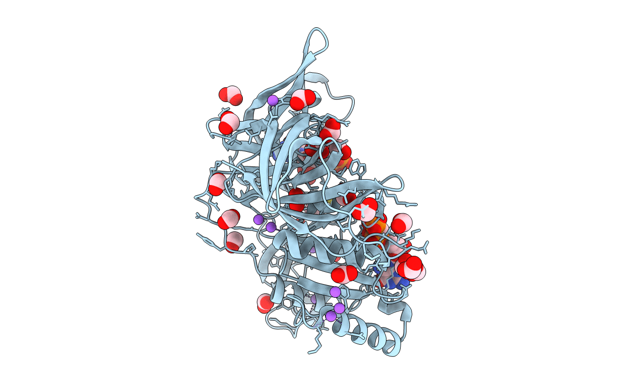 4M53 image