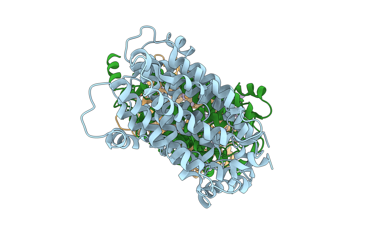 4M64 image