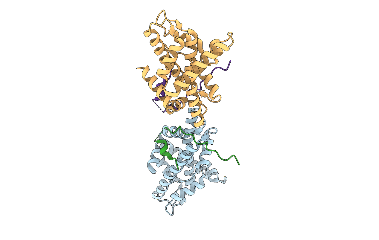 4M6B image