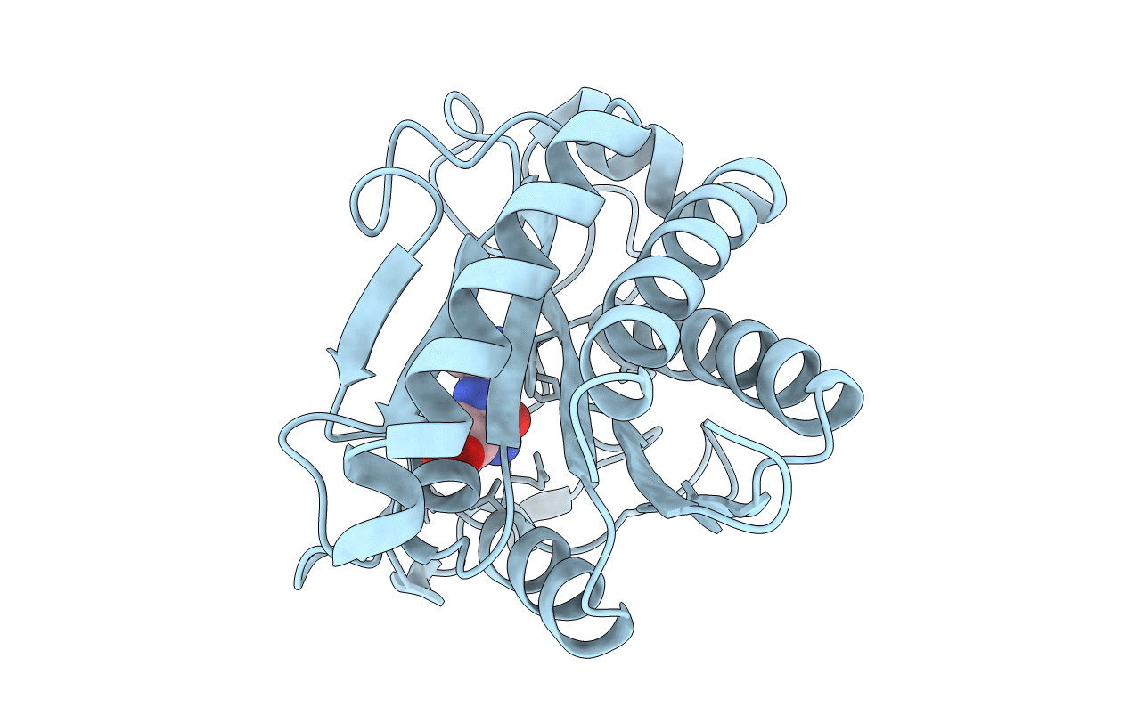 4M6G image