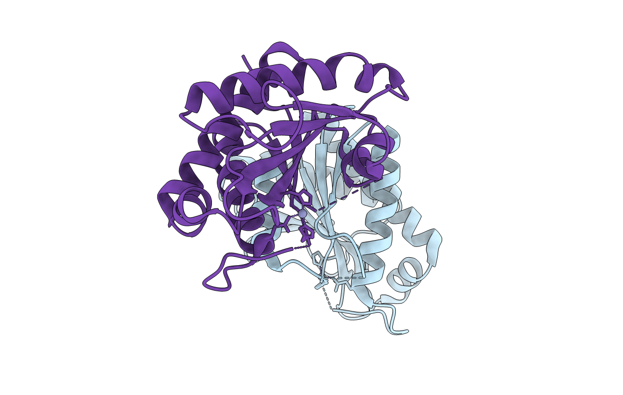 4M6I image