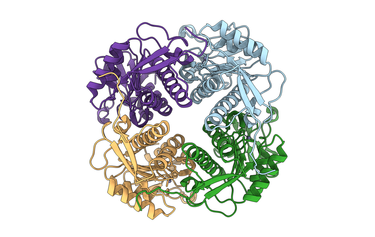 4M6R image