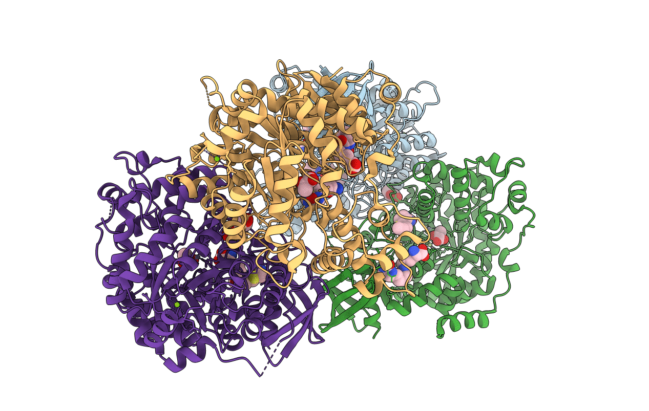 4M6V image