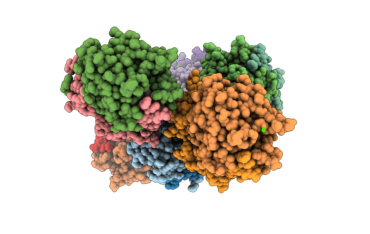 4M8D image